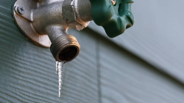 Best Shower Repair Services  in Tazewell, VA